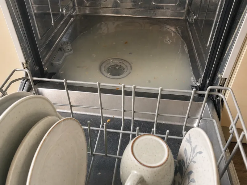 Cloudy water sitting around the drain at the bottom of an open dishwasher