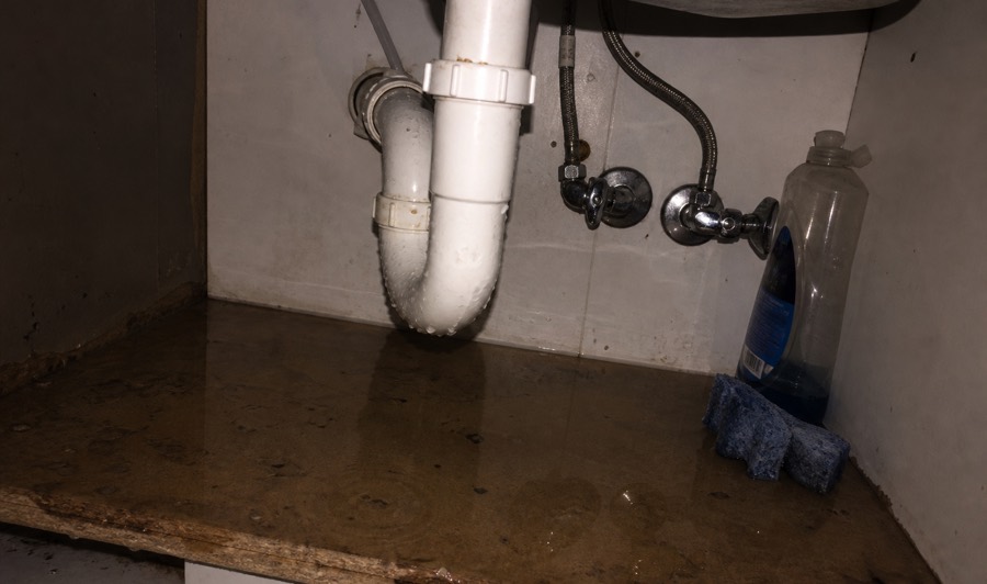 water pooling under the kitchen sink cabinet around a leaking p-trap